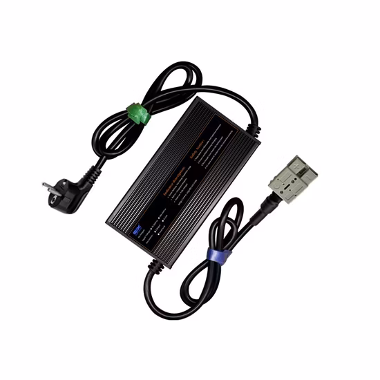 Voltaje eléctrico de la batería LiFePO4 del carro de golf de las baterías 48V de las baterías de litio de las motocicletas de la batería Lifep04