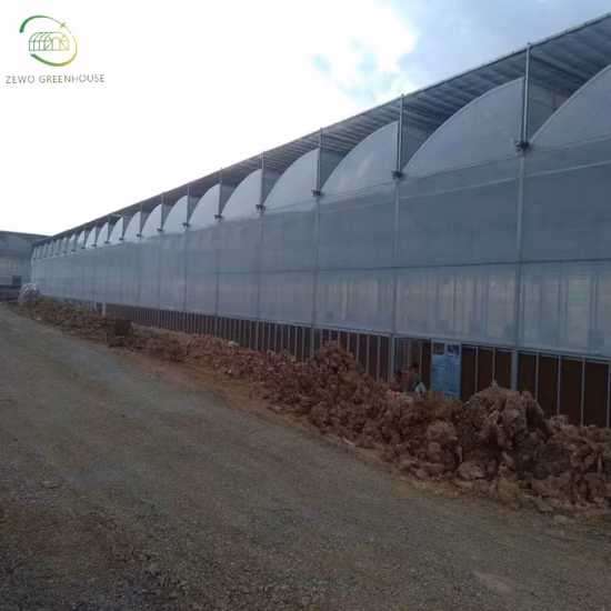 Panel de módulo solar fotovoltaico monocristalino de 16 bb de Topcon de nivel 1 de alta eficiencia de 575 W con celdas de 182 mm